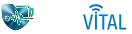 fichavital.com